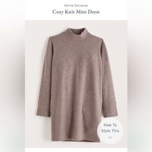 Abercrombie & Fitch Exclusive Online Taupe Cozy Knit Dress Mock Neck